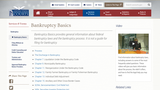 Bankruptcy Basics